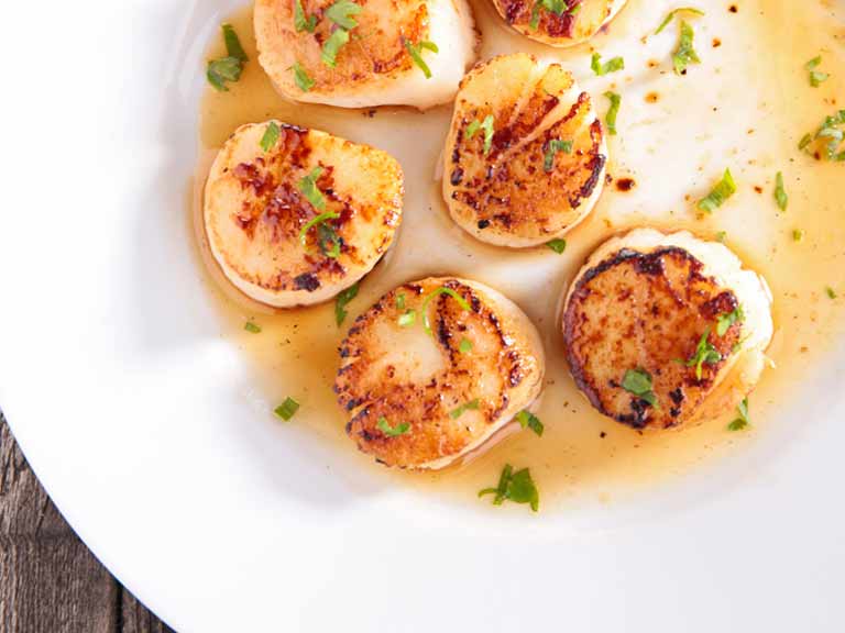 Scallops with lemon and parsley sauce