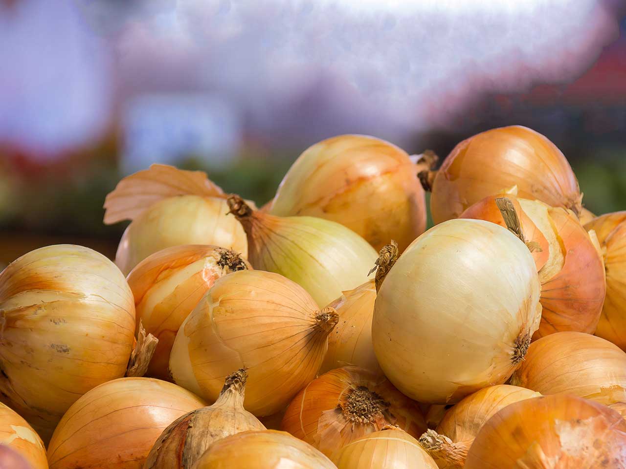 Onions on a market stall