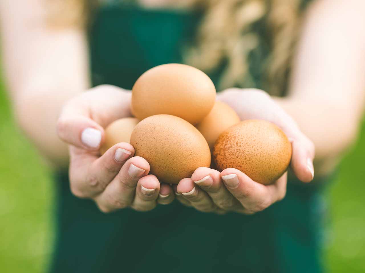 10 reasons to eat more eggs