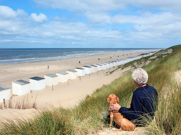 Senior man sitting with dog on the beach