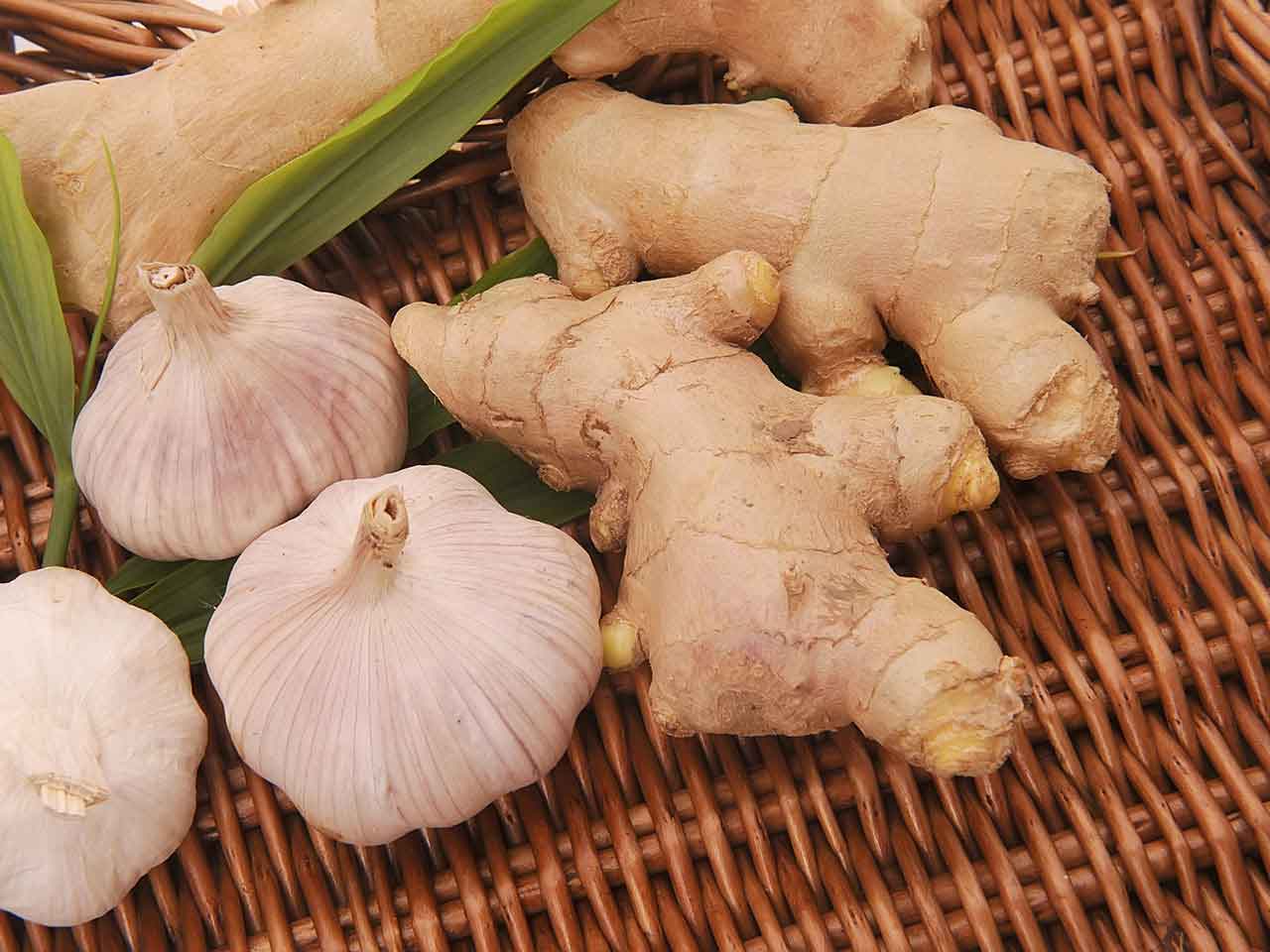 Close up of garlic bulbs and ginger