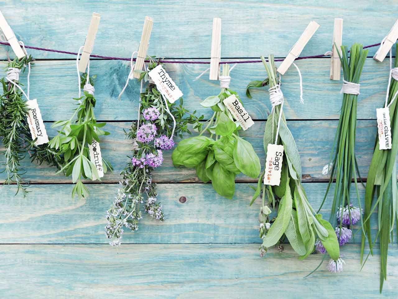 Herbs hanging up against a wooden wall