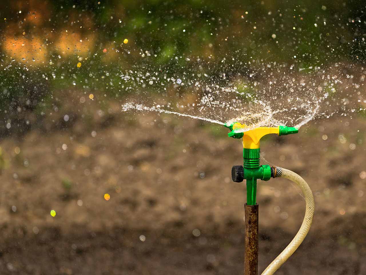 Plant irrigation system sprmnkling water over garden