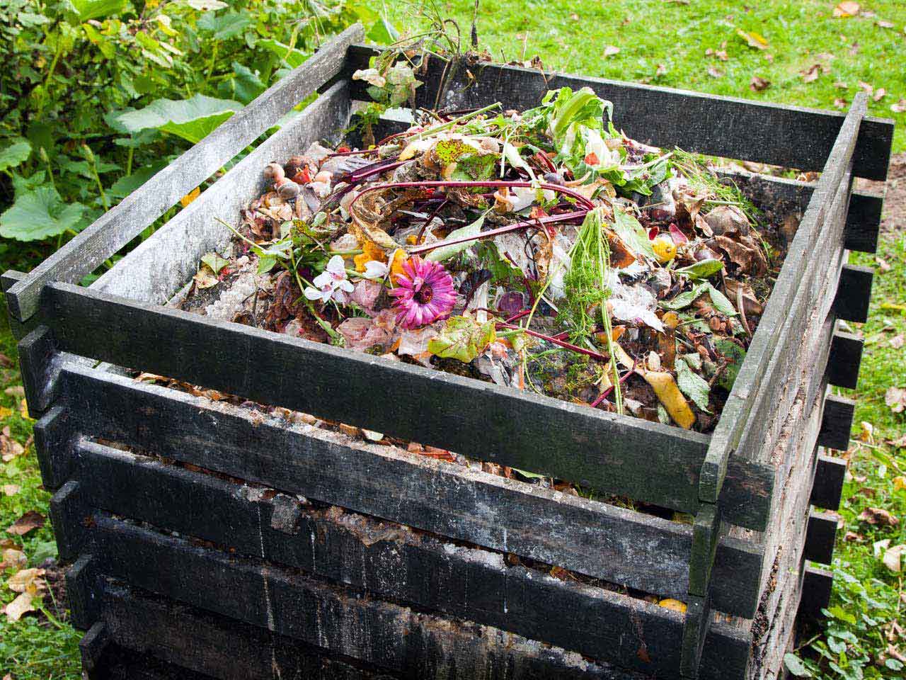 Compost heap