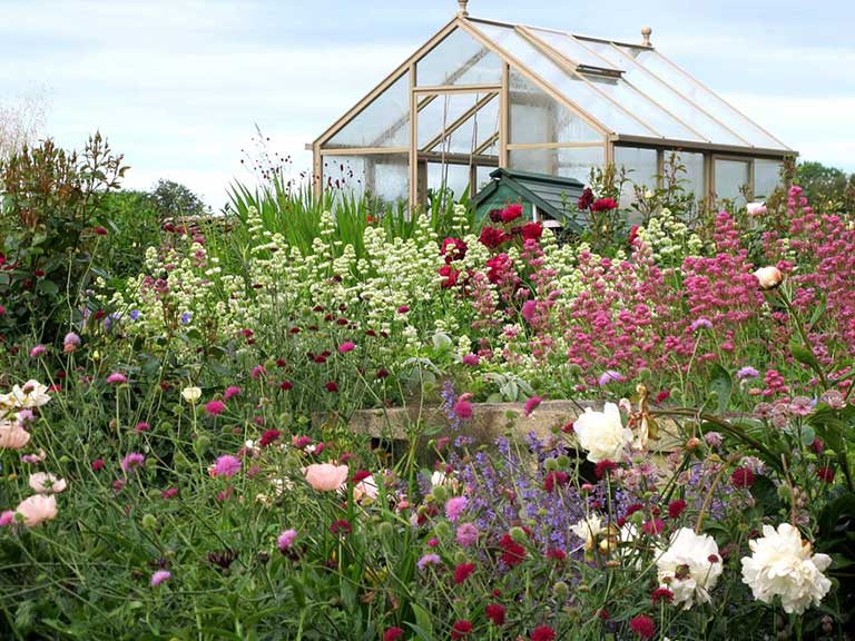 Val Bourne's greenhouse