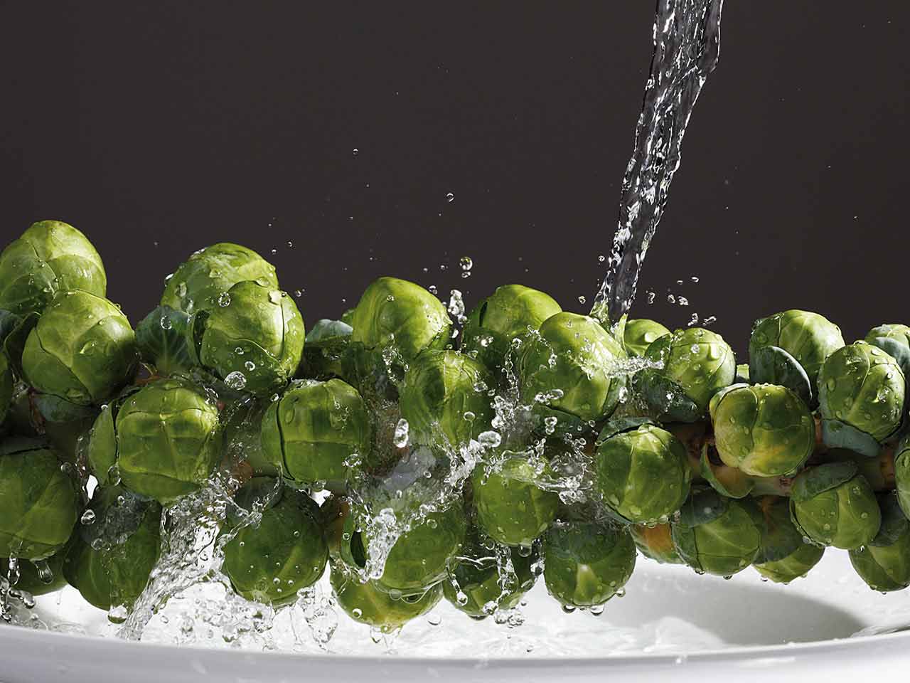 Brussel sprout stalk being rinsed