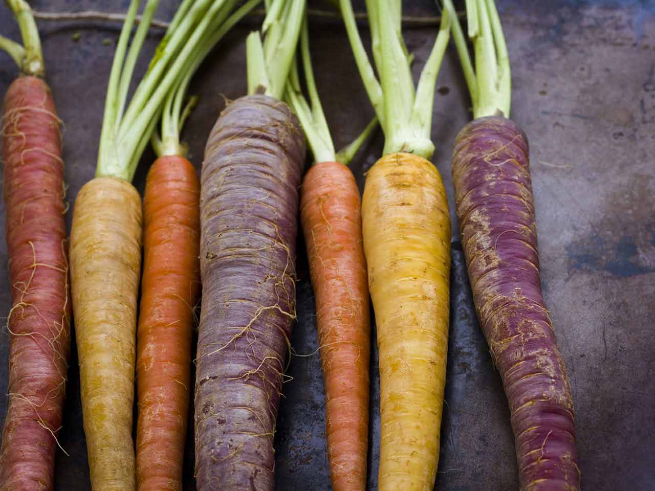 Different varities of carrot