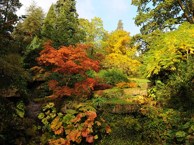 Batsford Arboretum in autumn
