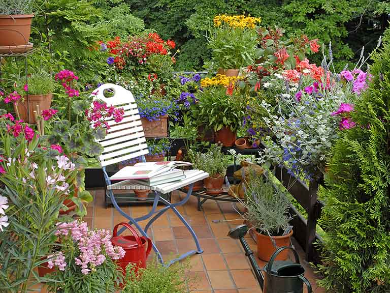 Small balcony garden