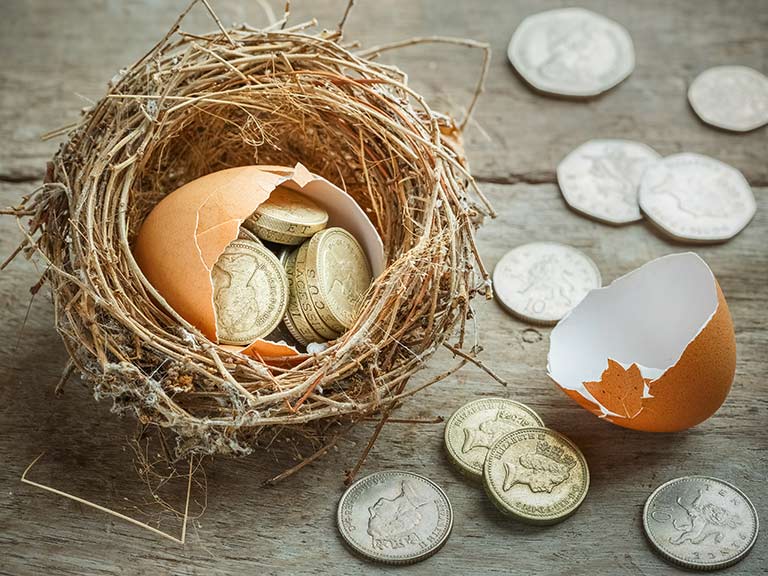 Egg containing coins in nest