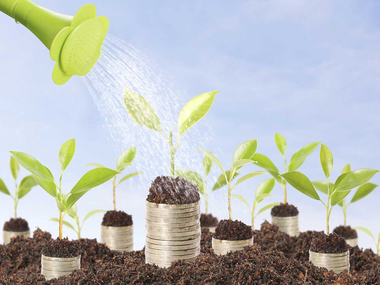 Watering can pouring water onto shoots springing from piles of coins to represent growing investments
