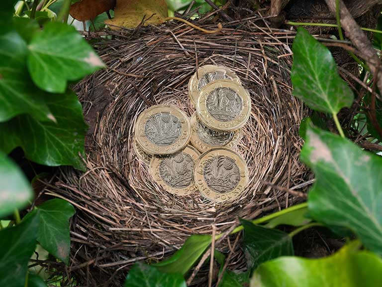 British pound coins in a nest to represent saving in a LISA