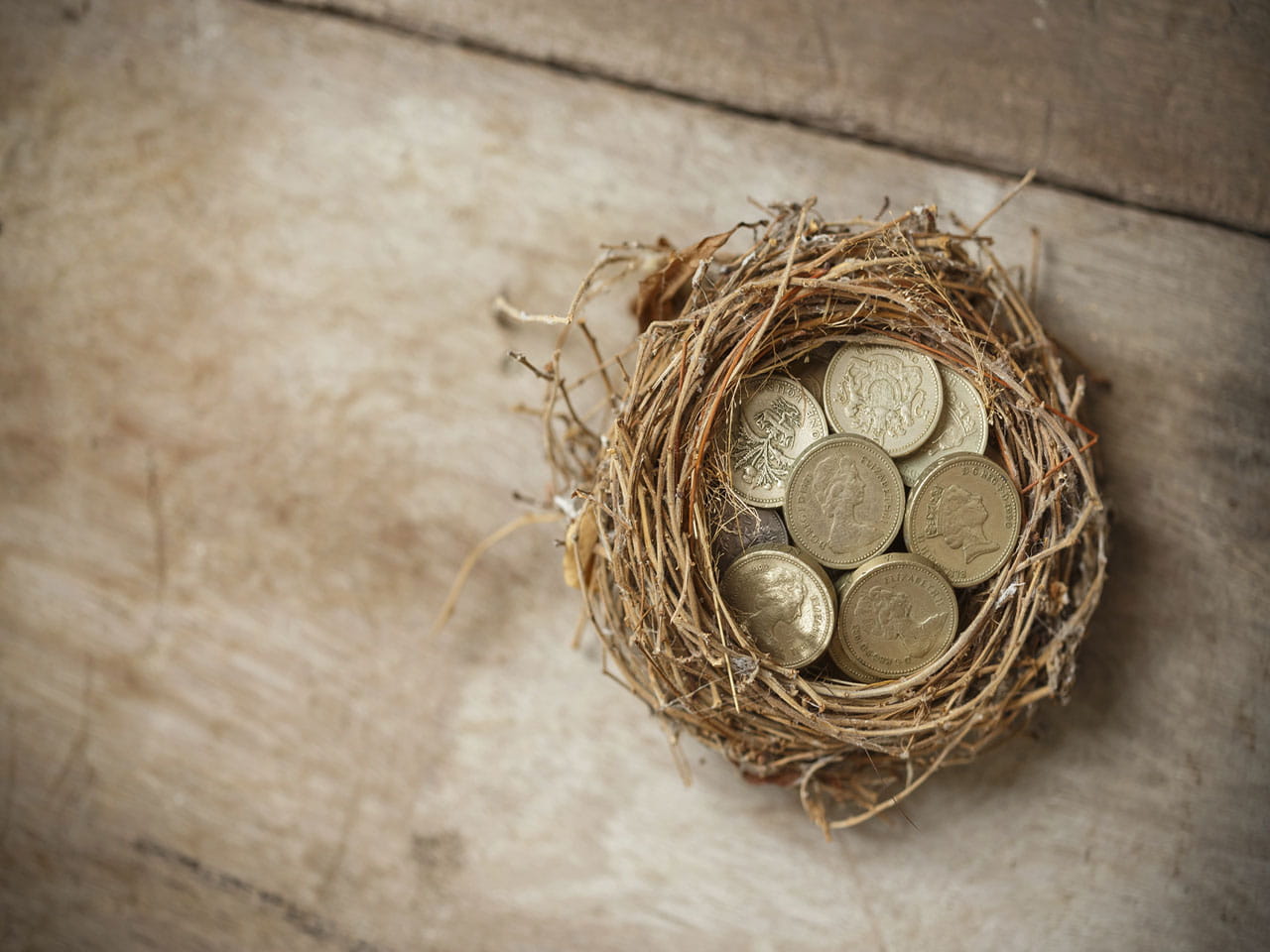 Nest egg with money in it to represent the question: is a buy to let mortgage a good investment?