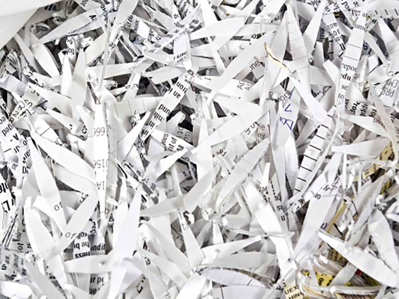 Shredded bank statements and personal documents