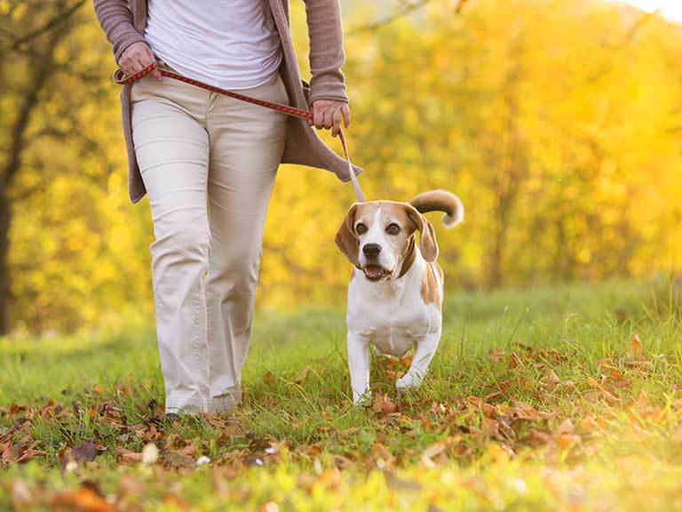 An older woman changes career to become a dog walker in later life