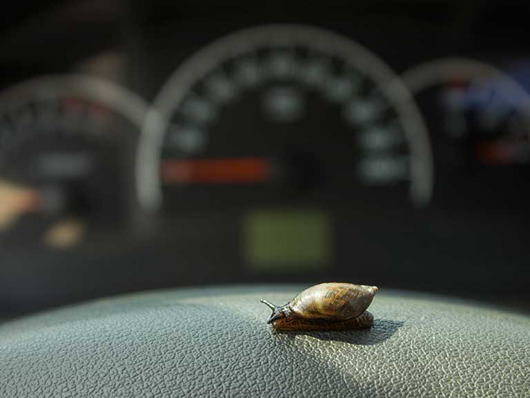 A snail in front of a speedometer in a car to represent driving too slowly