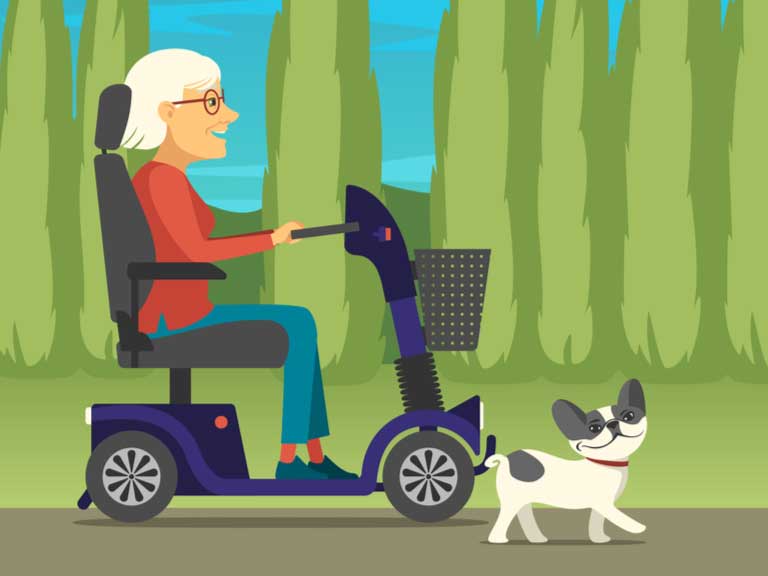 Illustration of older lady on mobility scooter taking her dog for walk in a park. 