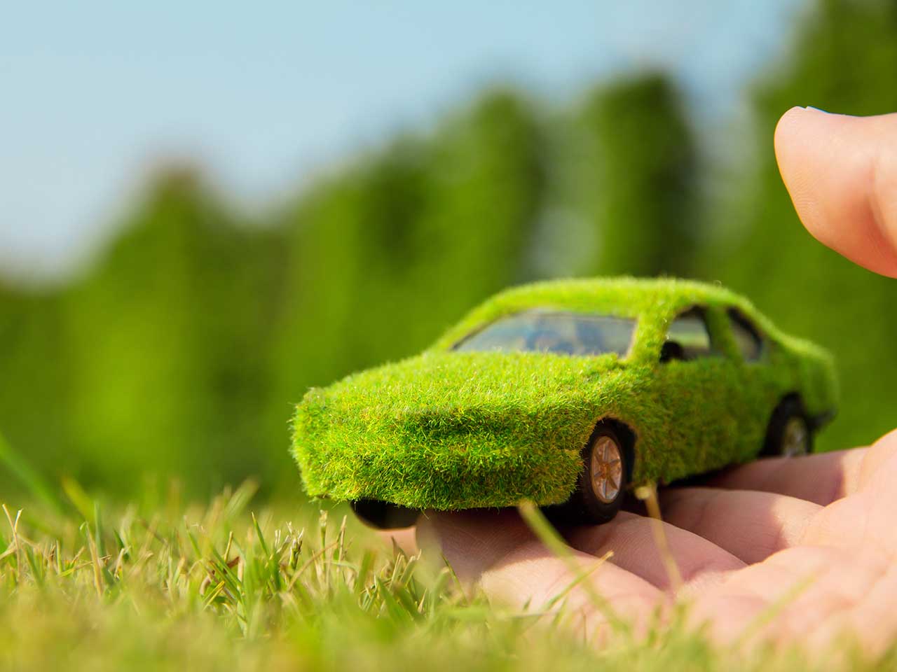 Car covered in grass to show environemntally friendly motoring