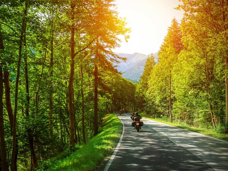 Motorcyclist driving through trees in spring