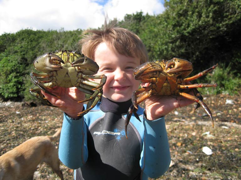 Boy with shore crabs