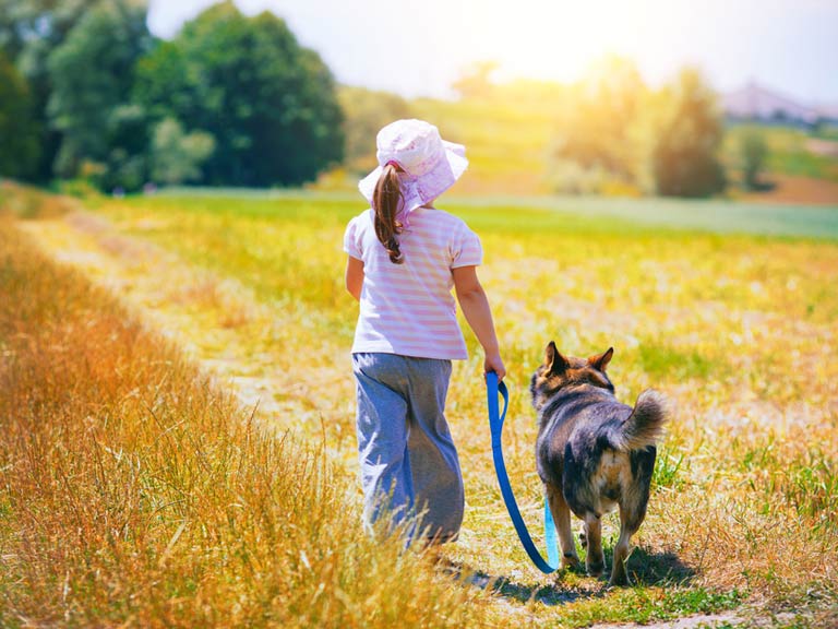 Child walking with a dog