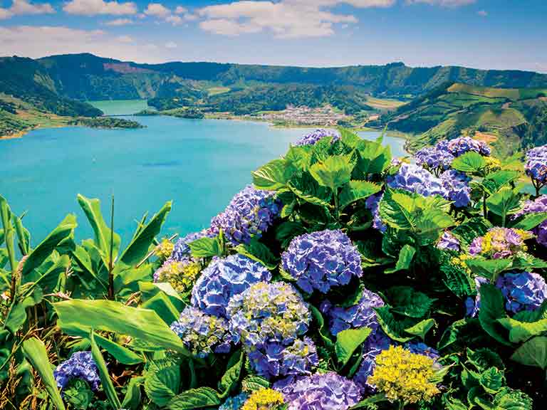 Lake of Sete Cidades with hortensias on the island of São Miguel, Azores