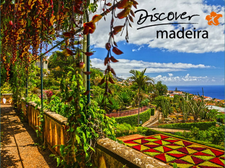 Botanical Gardens in Funchal, Madeira