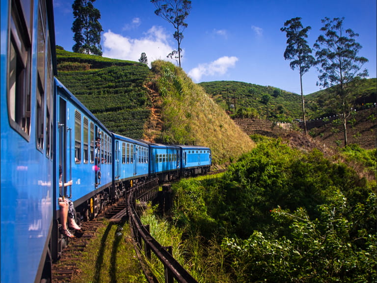 Train in Sri Lanka through tea plant