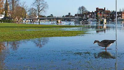 View of Marlow Bridge and flooded Thames river