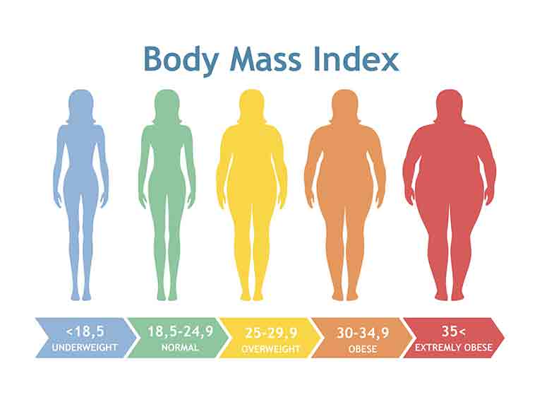 Diet blog: is fat the new normal? - Saga