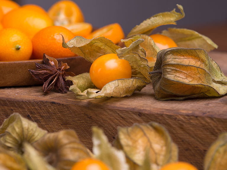 Exotic fruits physalis and kumquats