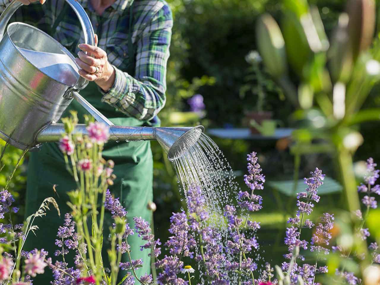 Older woman gardening to improve health