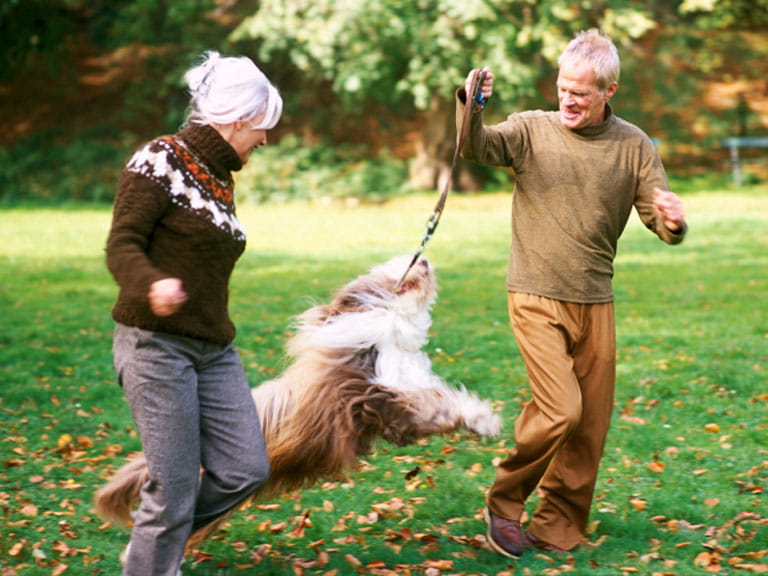 Couple walking a dog to get fit