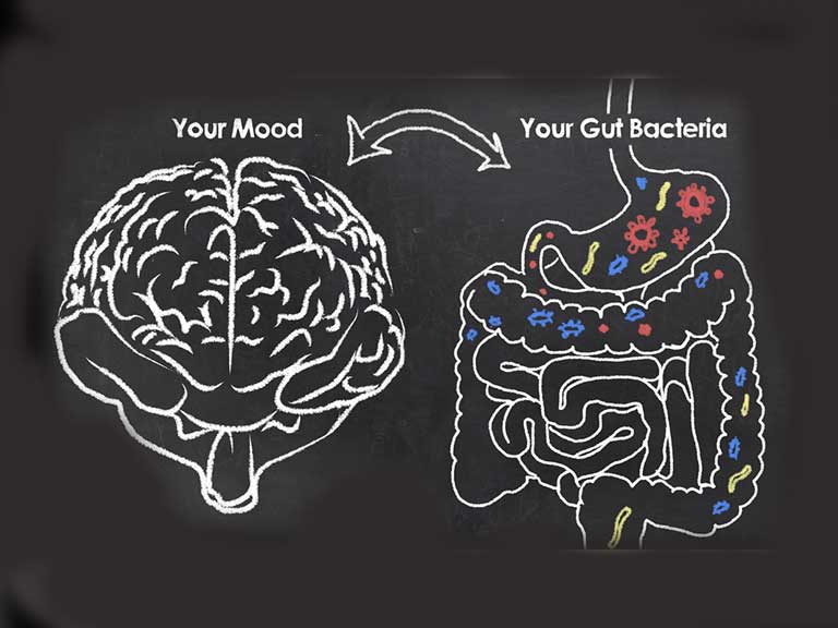 Gut health and emotions link