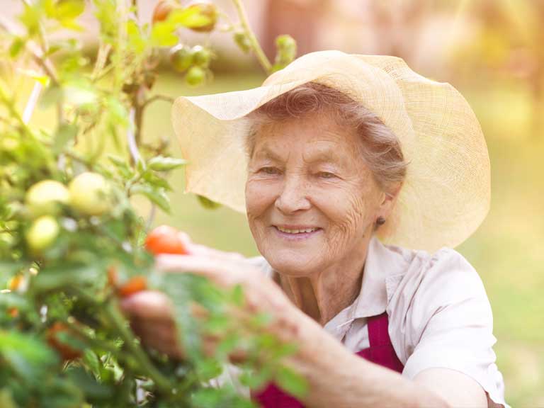 Older lady gardening