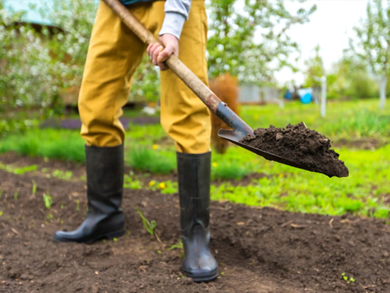 Digging clay soil in garden