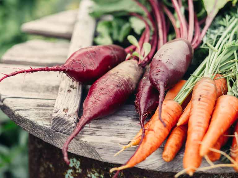 Carrots and beetroot