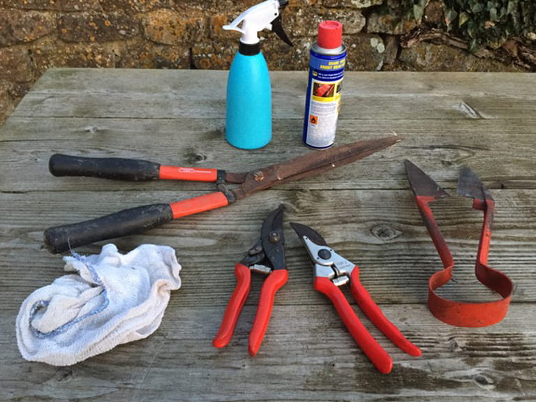 Garden tools for cleaning