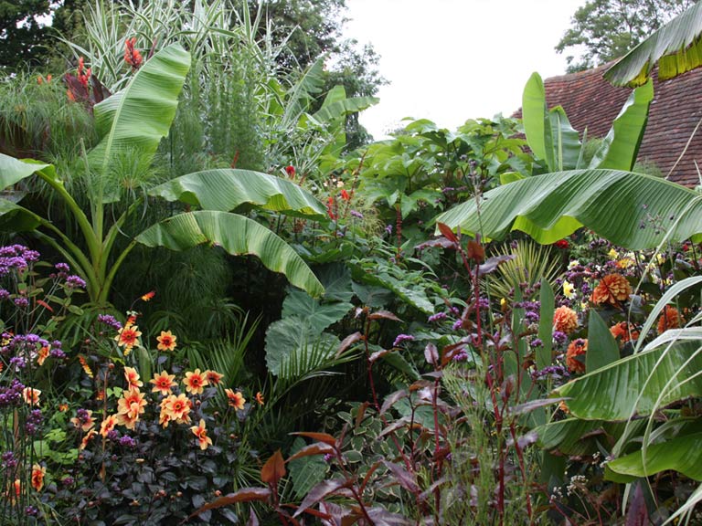 Great Dixter Exotic Garden