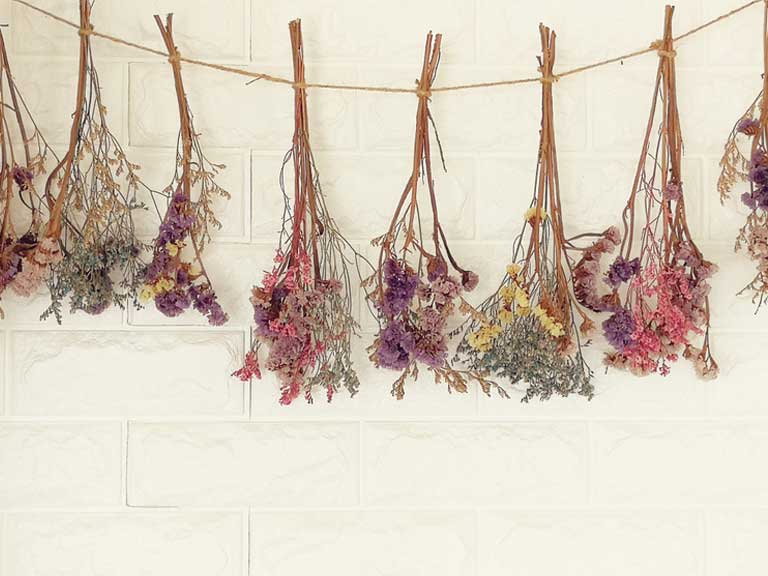 Bunches of flowers hanging up to dry