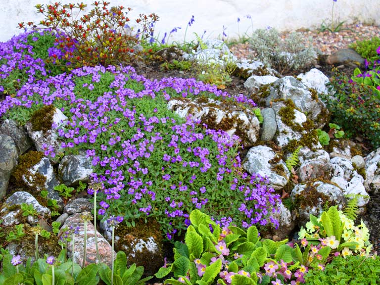 Rockery