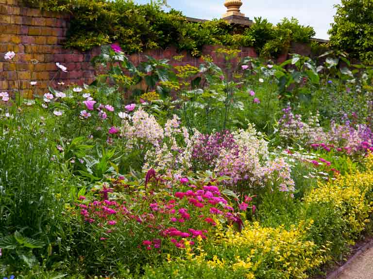 Colourful herbaceous border