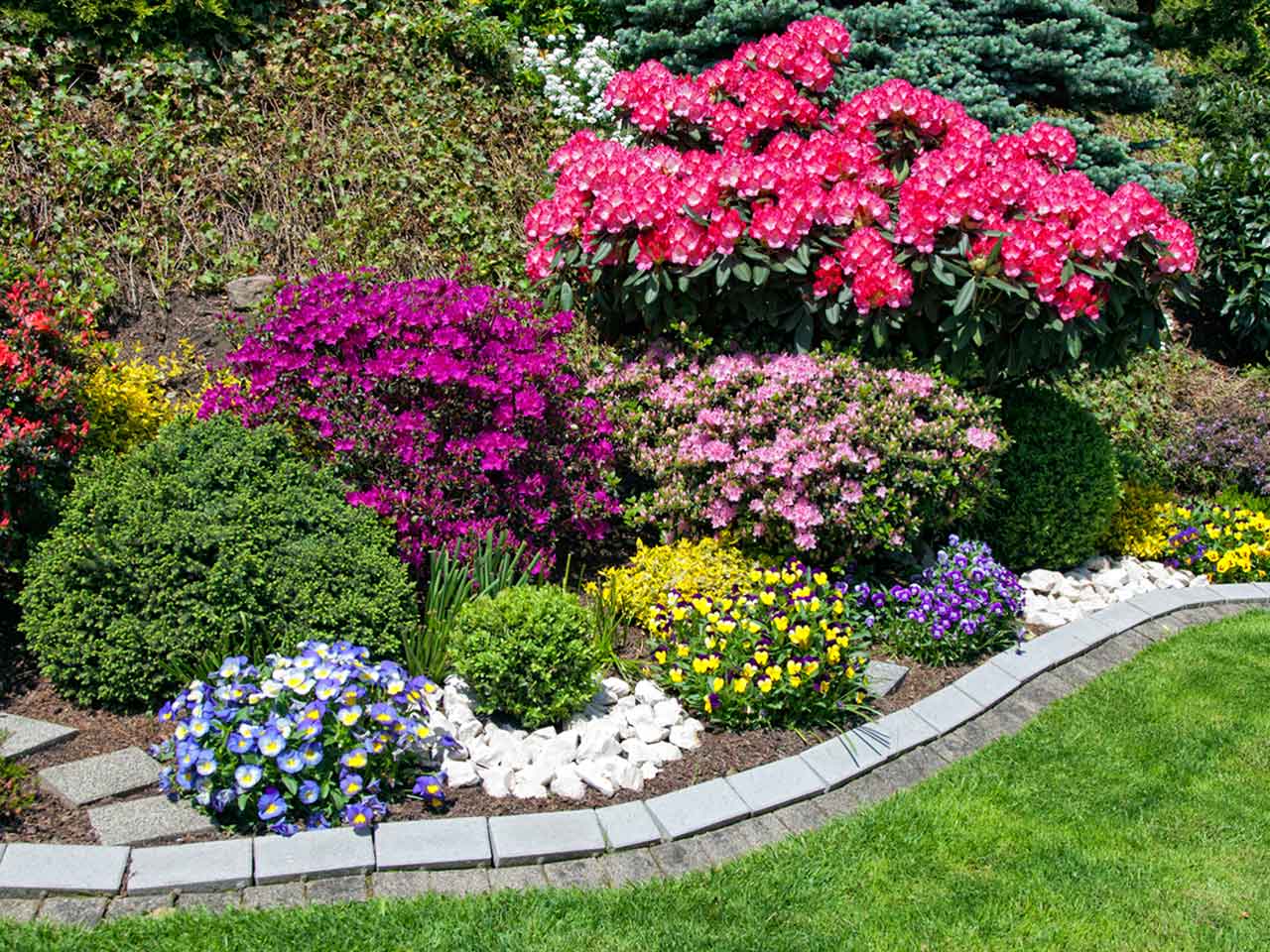 Choosing A Colour Scheme For Your Garden Saga