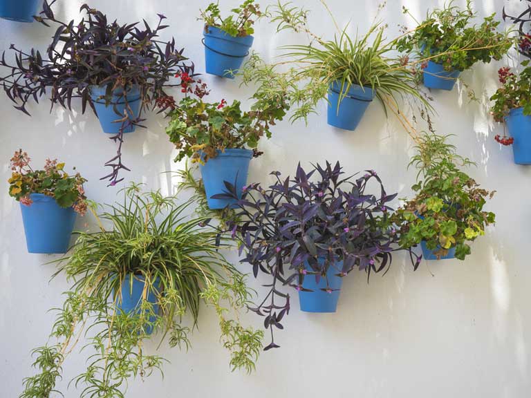 Vertical Garden Ideas Saga