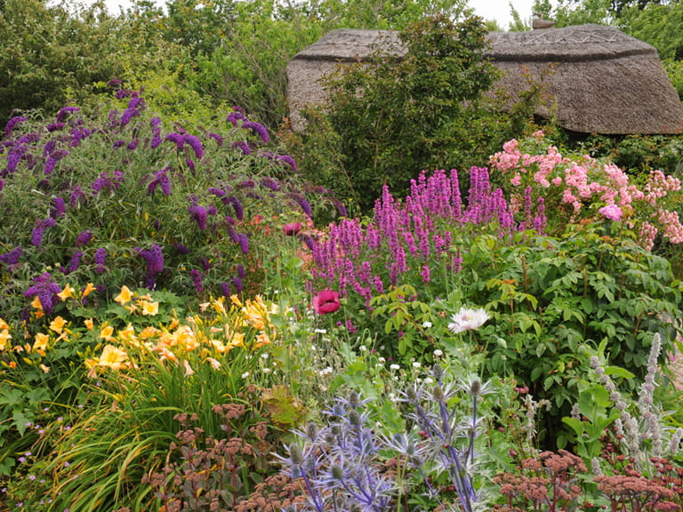 Cottage Garden Design Plants Structure And Planting Tips Saga