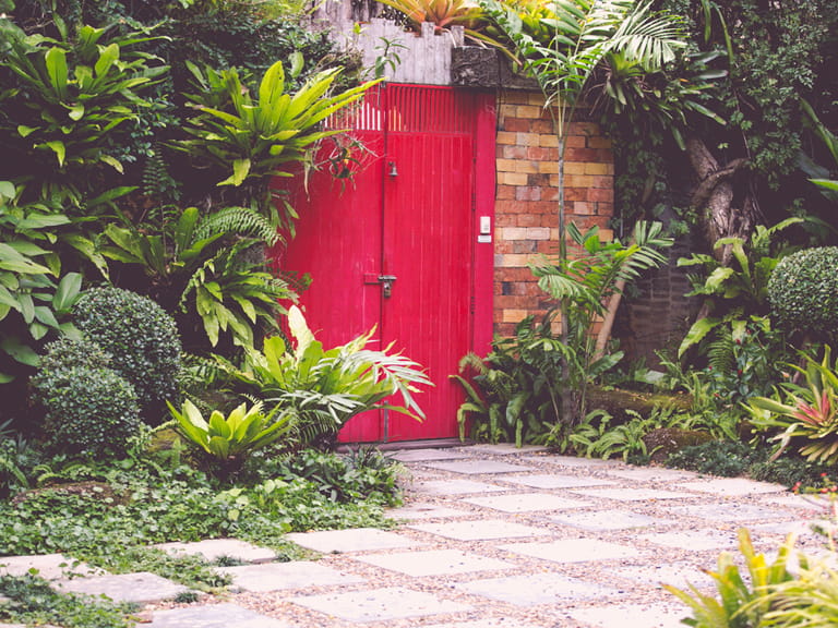 Jungle courtyard