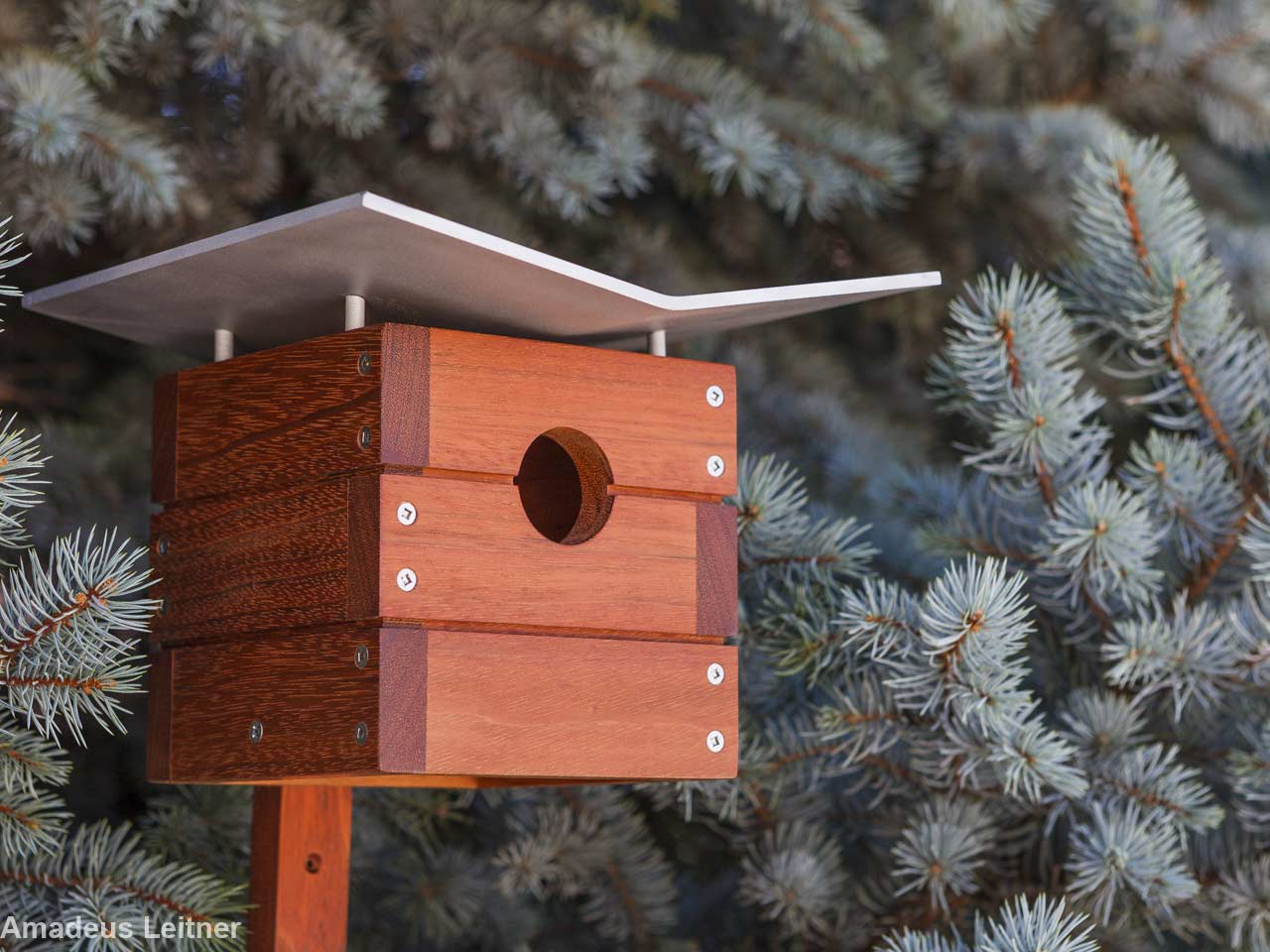 12 Incredible And Inspiring Birdhouse Ideas Saga