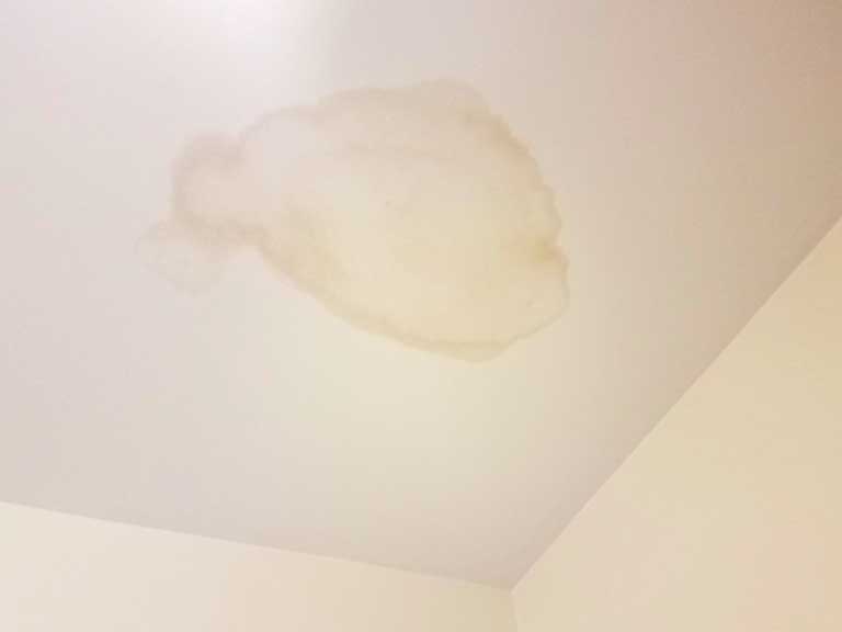 Wet Patch On Living Room Ceiling