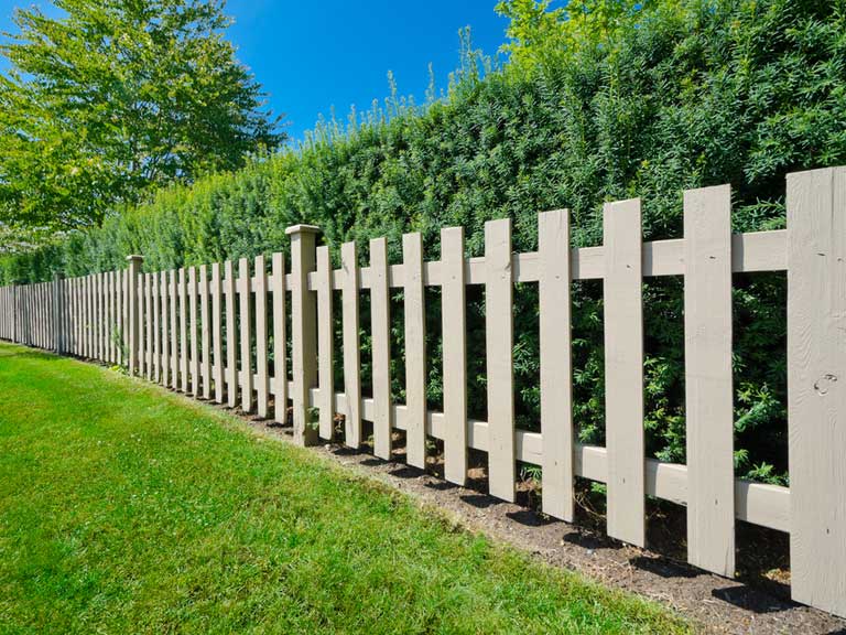 Fence with hedge against it