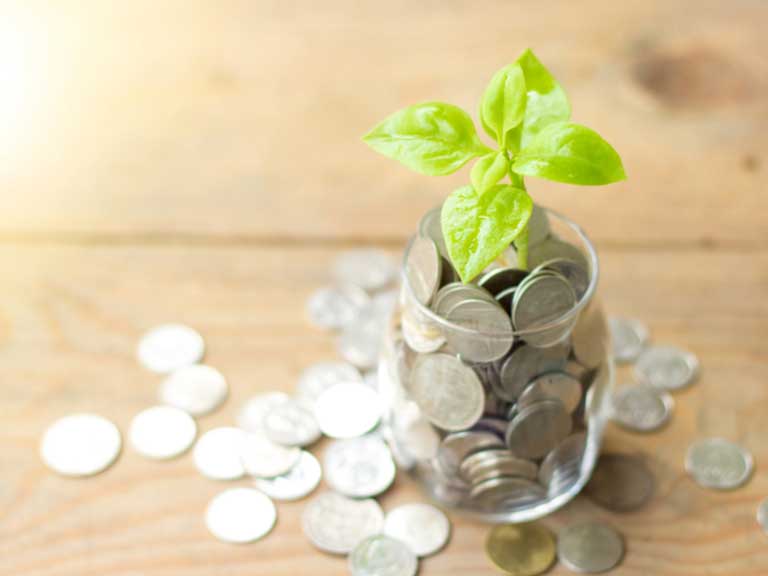 Glass jar filled with coins and a seedling growing from the top of the coins